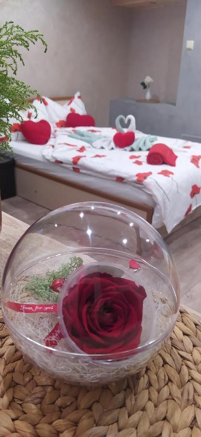 Velvita Sliven Bagian luar foto